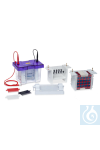 Complete Mini (10 x 10 cm) Vertical Electrophoresis Modular System The Vertical Electrophoresis...